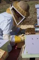 včelař na ul